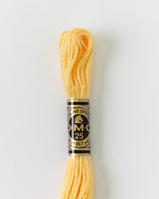 DMC Embroidery Stranded Thread - Six-Strand Embroidery Floss - 3855 - Desert Winds - HM Nabavian