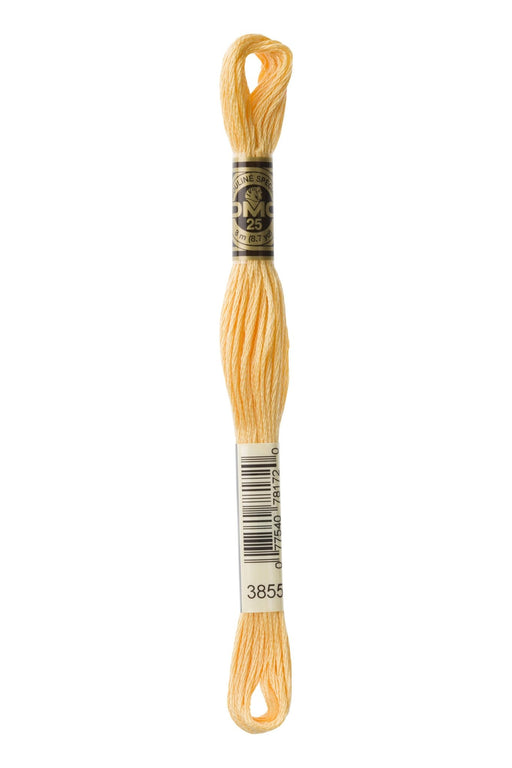 DMC Embroidery Stranded Thread - Six-Strand Embroidery Floss - 3855 - Desert Winds - HM Nabavian