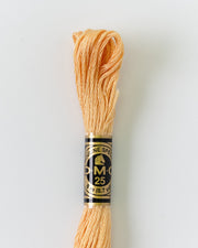 DMC Embroidery Stranded Thread - Six-Strand Embroidery Floss - 3856 - Buff - HM Nabavian