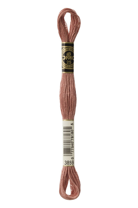 DMC Embroidery Stranded Thread - Six-Strand Embroidery Floss - 3859 - Clay - HM Nabavian