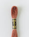 DMC Embroidery Stranded Thread - Six-Strand Embroidery Floss - 3859 - Clay - HM Nabavian