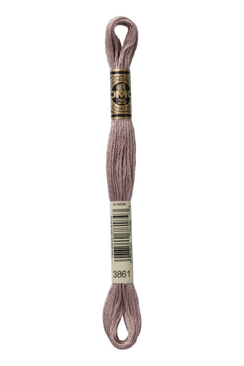 DMC Embroidery Stranded Thread - Six-Strand Embroidery Floss - 3861 - Light Taupe - HM Nabavian