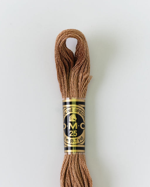 DMC Embroidery Stranded Thread - Six-Strand Embroidery Floss - 3863 - Otter - HM Nabavian