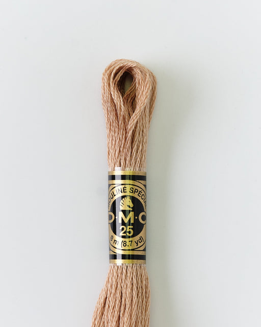 DMC Embroidery Stranded Thread - Six-Strand Embroidery Floss - 3864 - Vicuna Wool - HM Nabavian