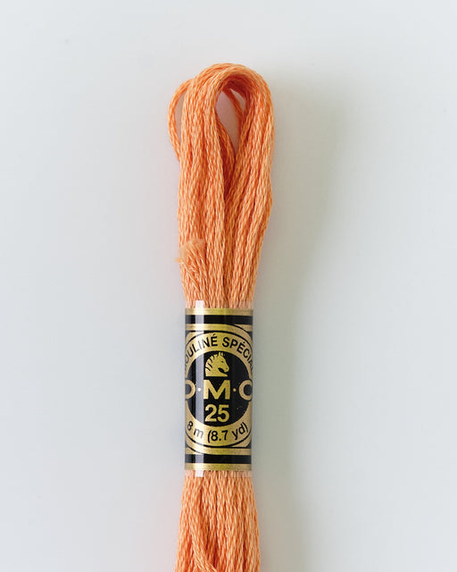 DMC Embroidery Stranded Thread - Six-Strand Embroidery Floss - 402 - Pottery - HM Nabavian