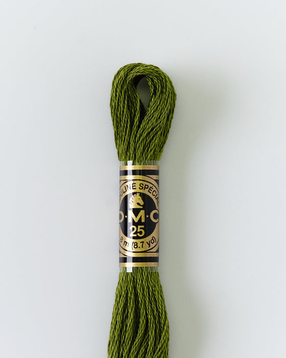 DMC Embroidery Stranded Thread - Six-Strand Embroidery Floss - 469 - Golden Moss Green - HM Nabavian