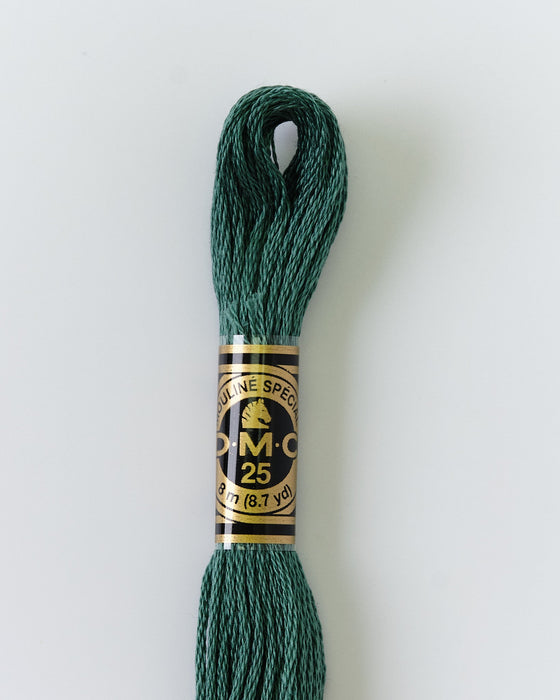 DMC Embroidery Stranded Thread - Six-Strand Embroidery Floss - 501 - Pond Green - HM Nabavian