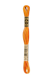 DMC Embroidery Stranded Thread - Six-Strand Embroidery Floss - 51 - Pumpkin Ombre - HM Nabavian