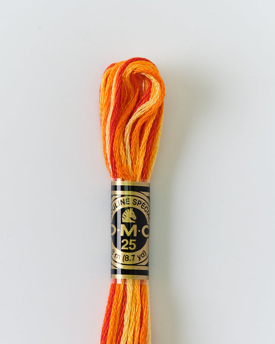 DMC Embroidery Stranded Thread - Six-Strand Embroidery Floss - 51 - Pumpkin Ombre - HM Nabavian