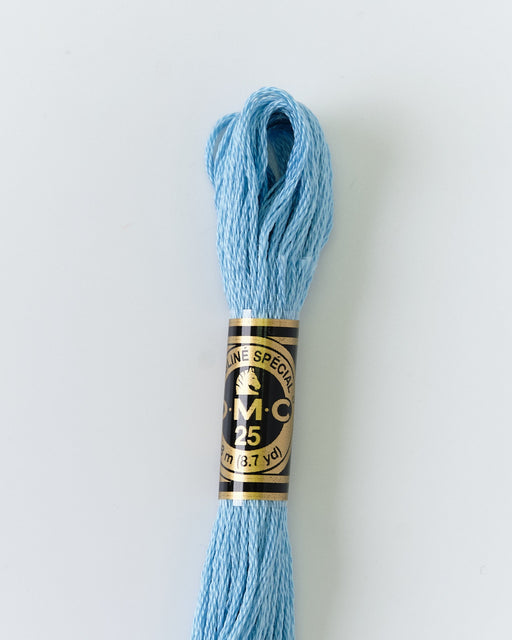 DMC Embroidery Stranded Thread - Six-Strand Embroidery Floss - 519 - Bluish Spray - HM Nabavian