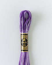 DMC Embroidery Stranded Thread - Six-Strand Embroidery Floss - 52 - Violet Perfume Ombre - HM Nabavian