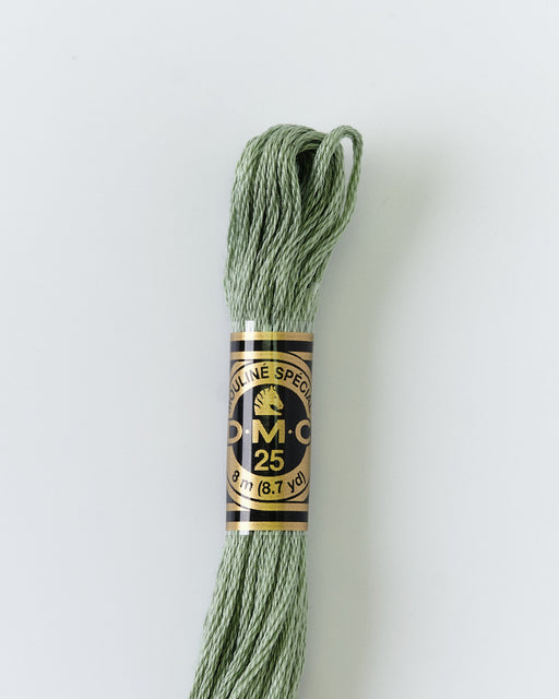 DMC Embroidery Stranded Thread - Six-Strand Embroidery Floss - 522 - Lattice Green - HM Nabavian