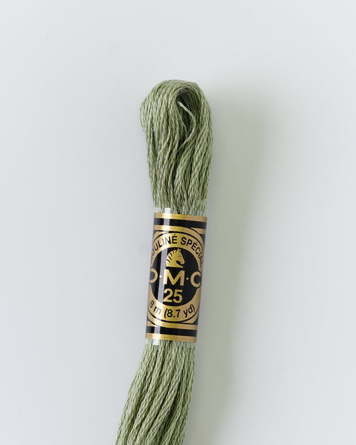 DMC Embroidery Stranded Thread - Six-Strand Embroidery Floss - 523 - Green Ash - HM Nabavian