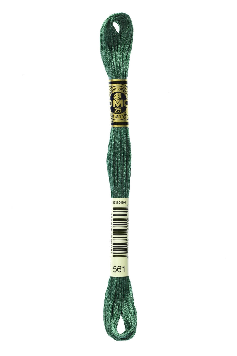 DMC Embroidery Stranded Thread - Six-Strand Embroidery Floss - 561 - Cypress Green - HM Nabavian