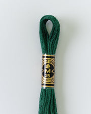 DMC Embroidery Stranded Thread - Six-Strand Embroidery Floss - 561 - Cypress Green - HM Nabavian