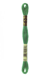 DMC Embroidery Stranded Thread - Six-Strand Embroidery Floss - 562 - Malachite - HM Nabavian