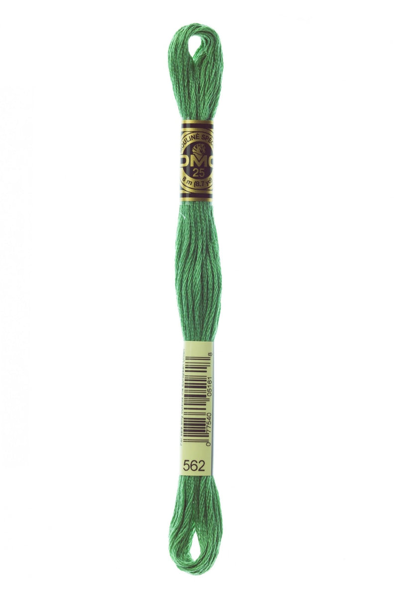 DMC Embroidery Stranded Thread - Six-Strand Embroidery Floss - 562 - Malachite - HM Nabavian