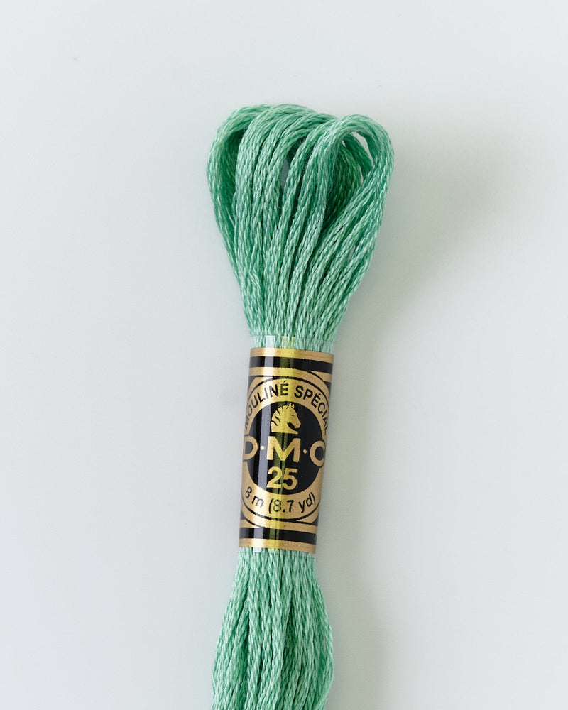 DMC Embroidery Stranded Thread - Six-Strand Embroidery Floss - 563 - Celedon - HM Nabavian