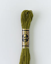 DMC Embroidery Stranded Thread - Six-Strand Embroidery Floss - 580 - Cactus - HM Nabavian