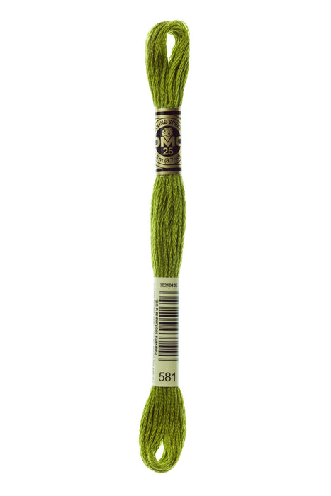 DMC Embroidery Stranded Thread - Six-Strand Embroidery Floss - 581 - Grasshopper - HM Nabavian