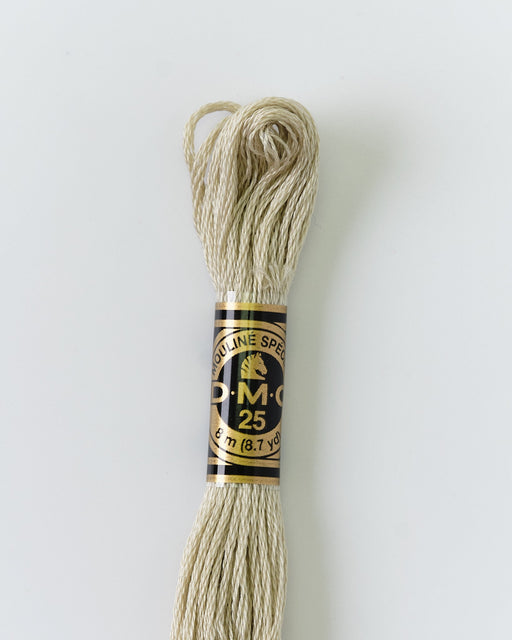 DMC Embroidery Stranded Thread - Six-Strand Embroidery Floss - 644 - Hemp - HM Nabavian