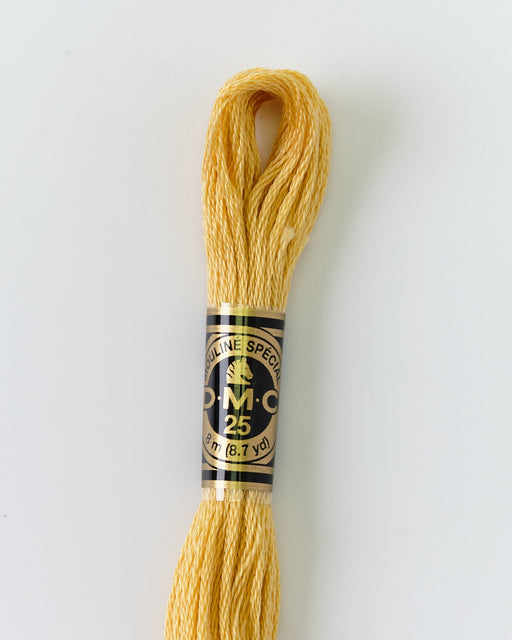 DMC Embroidery Stranded Thread - Six-Strand Embroidery Floss - 676 - Savannah - HM Nabavian