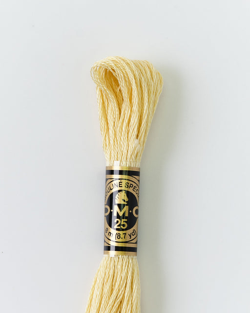 DMC Embroidery Stranded Thread - Six-Strand Embroidery Floss - 677 - Metallic Sand - HM Nabavian