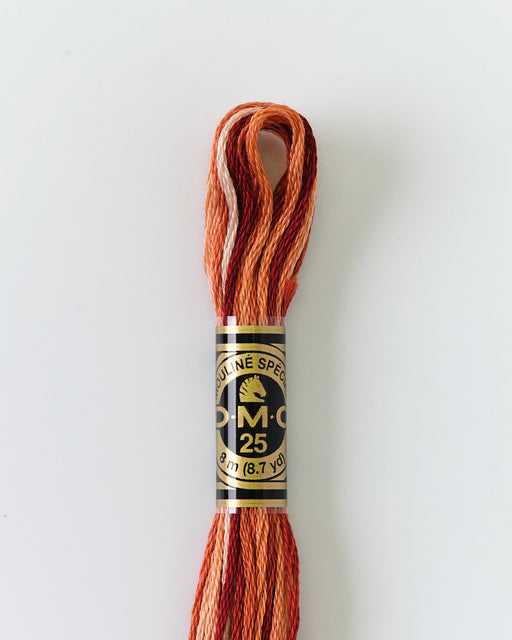 DMC Embroidery Stranded Thread - Six-Strand Embroidery Floss - 69 - Mahogany Ombre - HM Nabavian