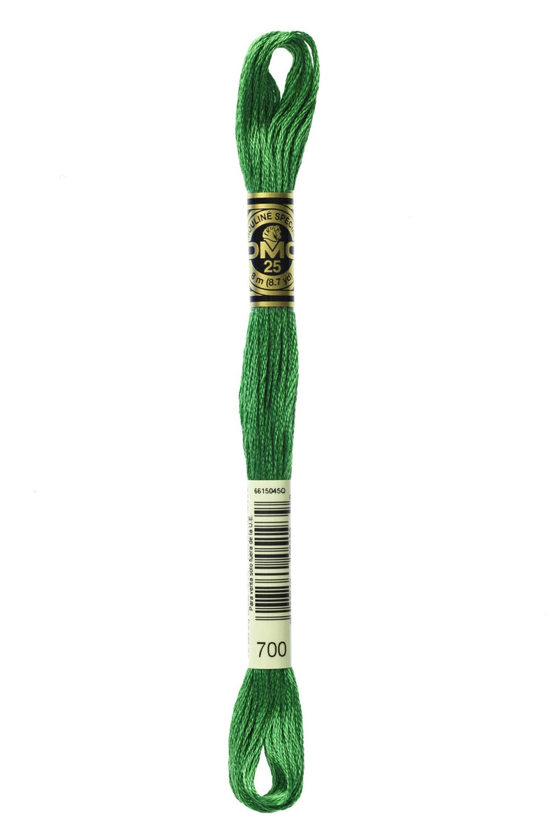 DMC Embroidery Stranded Thread - Six-Strand Embroidery Floss - 700 - Meadow Green - HM Nabavian