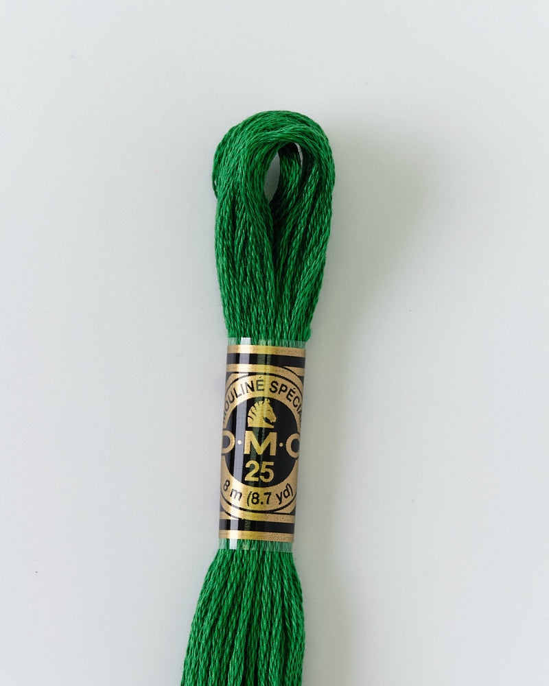 DMC Embroidery Stranded Thread - Six-Strand Embroidery Floss - 700 - Meadow Green - HM Nabavian