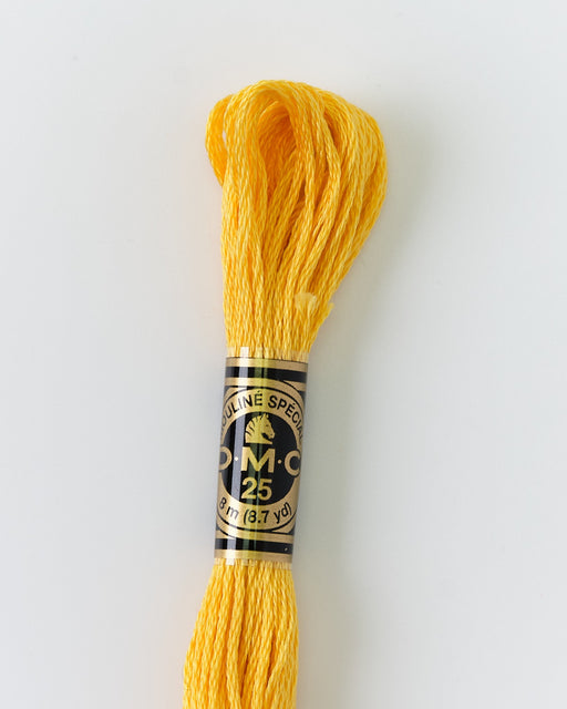 DMC Embroidery Stranded Thread - Six-Strand Embroidery Floss - 725 - Buttercup - HM Nabavian