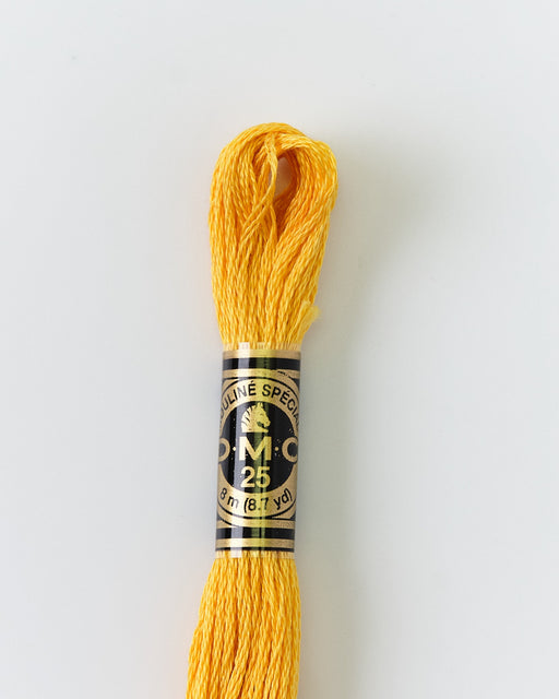 DMC Embroidery Stranded Thread - Six-Strand Embroidery Floss - 728 - Mustard - HM Nabavian