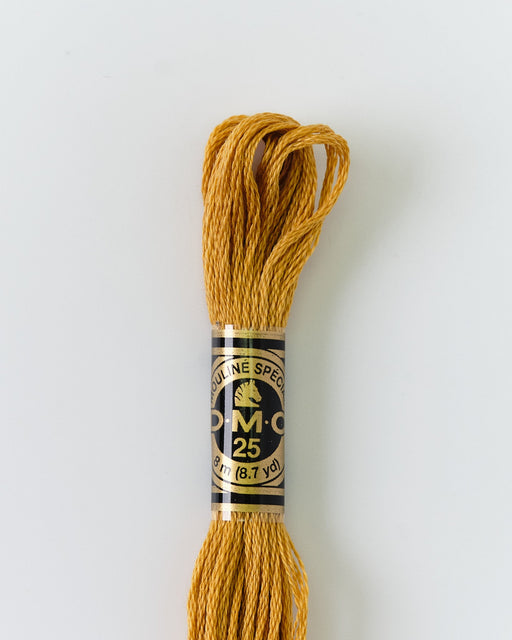 DMC Embroidery Stranded Thread - Six-Strand Embroidery Floss - 729 - Honey - HM Nabavian