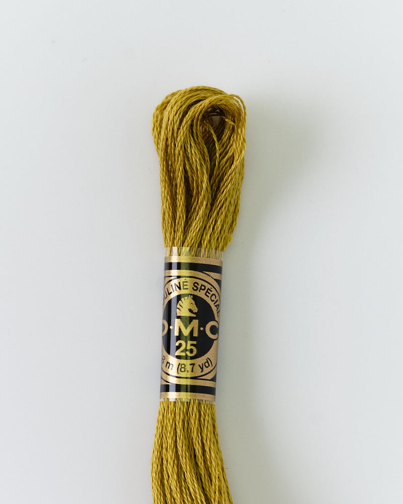 DMC Embroidery Stranded Thread - Six-Strand Embroidery Floss - 733 - Golden Green - HM Nabavian