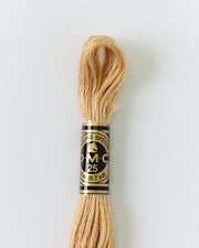 DMC Embroidery Stranded Thread - Six-Strand Embroidery Floss - 738 - Sahara - HM Nabavian