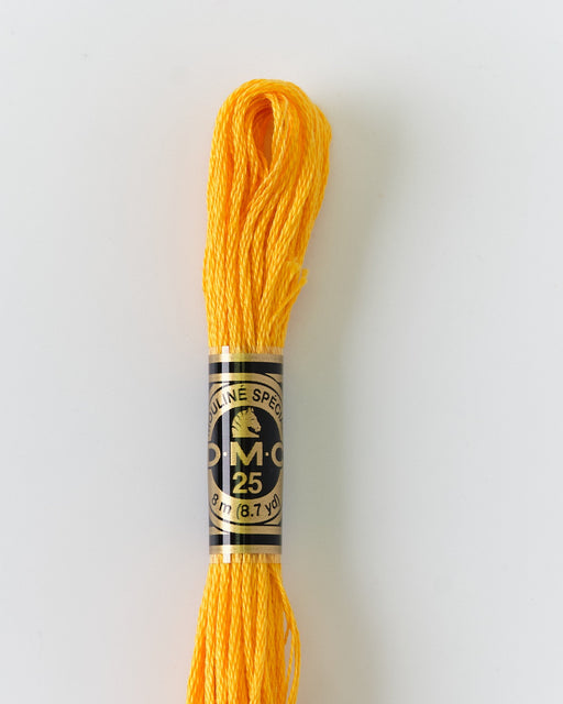 DMC Embroidery Stranded Thread - Six-Strand Embroidery Floss - 742 - Clementine - HM Nabavian