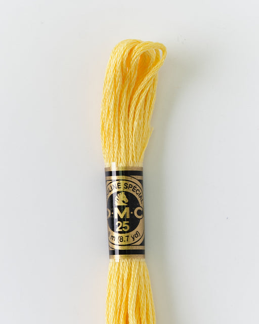 DMC Embroidery Stranded Thread - Six-Strand Embroidery Floss - 744 - Grapefruit - HM Nabavian