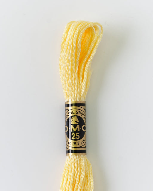 DMC Embroidery Stranded Thread - Six-Strand Embroidery Floss - 745 - Blonde - HM Nabavian