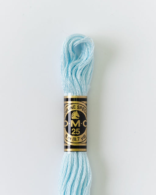 DMC Embroidery Stranded Thread - Six-Strand Embroidery Floss - 747 - Pearlescent Blue Sea Mist - HM Nabavian