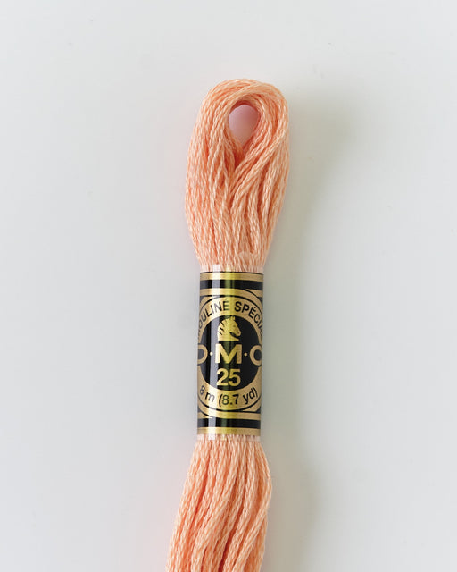 DMC Embroidery Stranded Thread - Six-Strand Embroidery Floss - 754 - Beige Rose - HM Nabavian