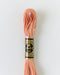 DMC Embroidery Stranded Thread - Six-Strand Embroidery Floss - 758 - Pink Dawn - HM Nabavian