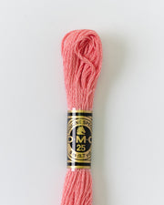 DMC Embroidery Stranded Thread - Six-Strand Embroidery Floss - 760 - Dusty Pink - HM Nabavian