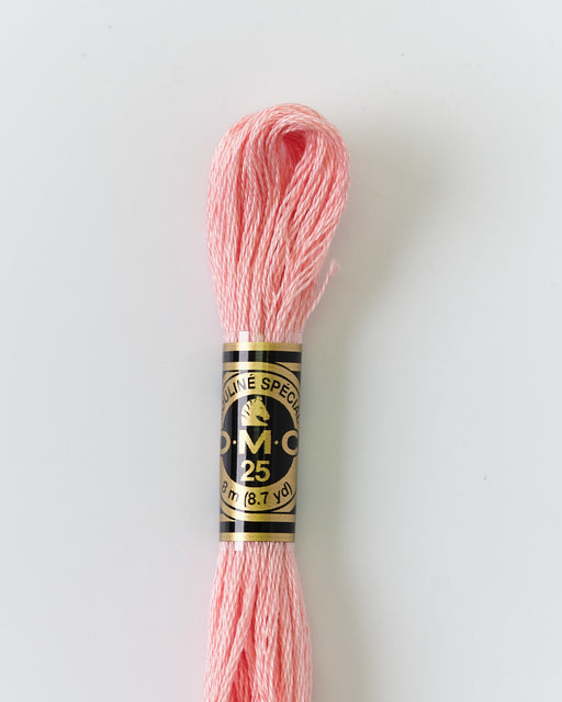 DMC Embroidery Stranded Thread - Six-Strand Embroidery Floss - 761 - Rose Dawn - HM Nabavian