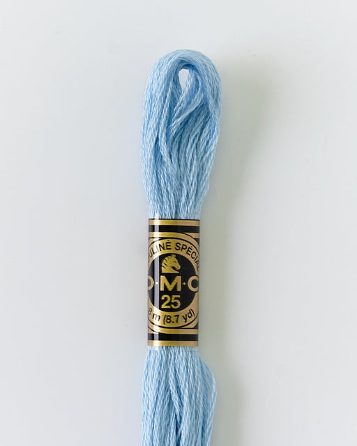 DMC Embroidery Stranded Thread - Six-Strand Embroidery Floss - 827 - Forget-Me-Knot - HM Nabavian