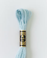 DMC Embroidery Stranded Thread - Six-Strand Embroidery Floss - 828 - Sea Air - HM Nabavian