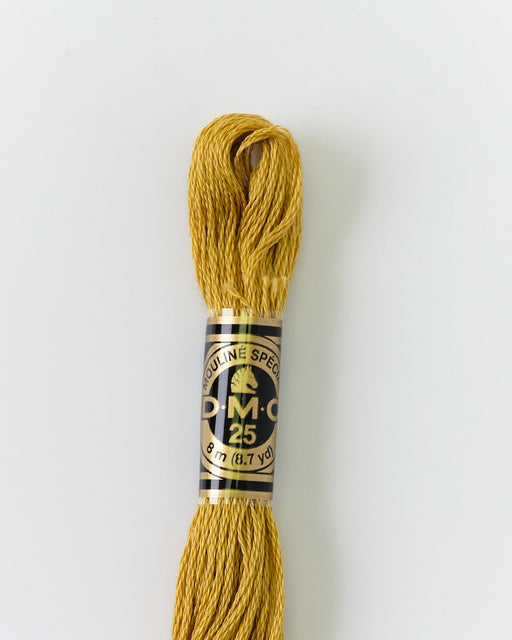 DMC Embroidery Stranded Thread - Six-Strand Embroidery Floss - 833 - Brass - HM Nabavian