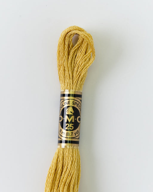 DMC Embroidery Stranded Thread - Six-Strand Embroidery Floss - 834 - Dusty sunflower - HM Nabavian