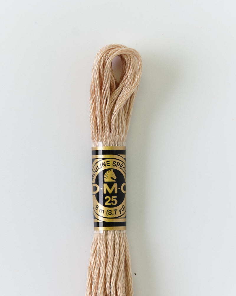 DMC Embroidery Stranded Thread - Six-Strand Embroidery Floss - 842 - Beige Rope - HM Nabavian
