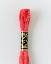 DMC Embroidery Stranded Thread - Six-Strand Embroidery Floss - 892 - Dahlia - HM Nabavian