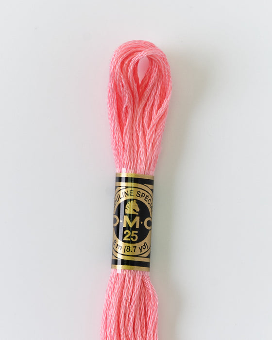 DMC Embroidery Stranded Thread - Six-Strand Embroidery Floss - 894 - Rose - HM Nabavian